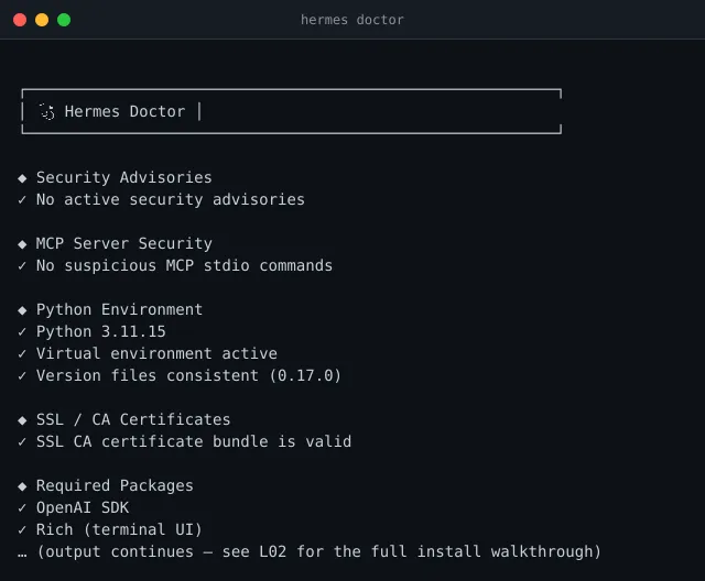 Вывод команды hermes doctor с зелеными галочками по категориям безопасность, Python, SSL и зависимости