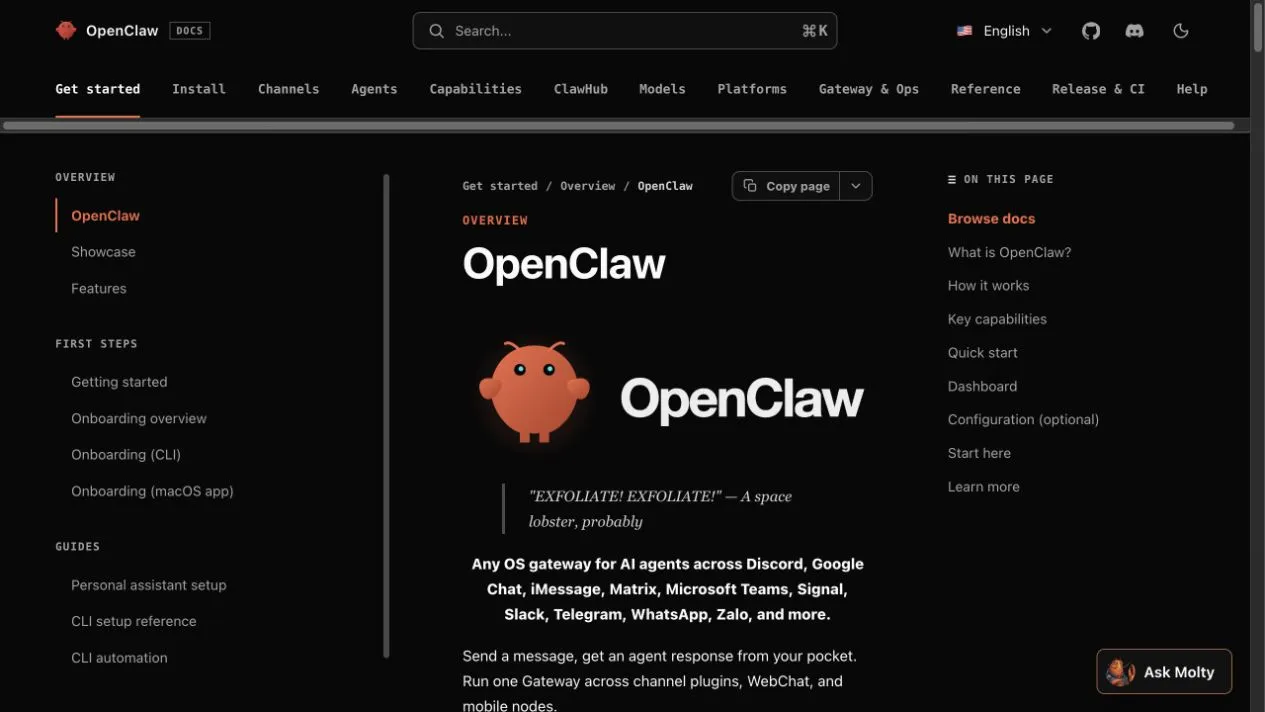 Официальная документация OpenClaw отображается в браузере